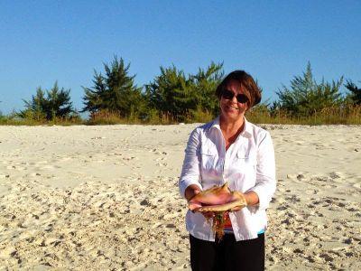 AnneJFowler's profile picture. 