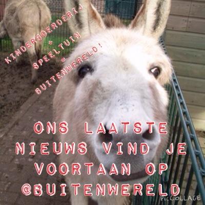 kibohouten's profile picture. 