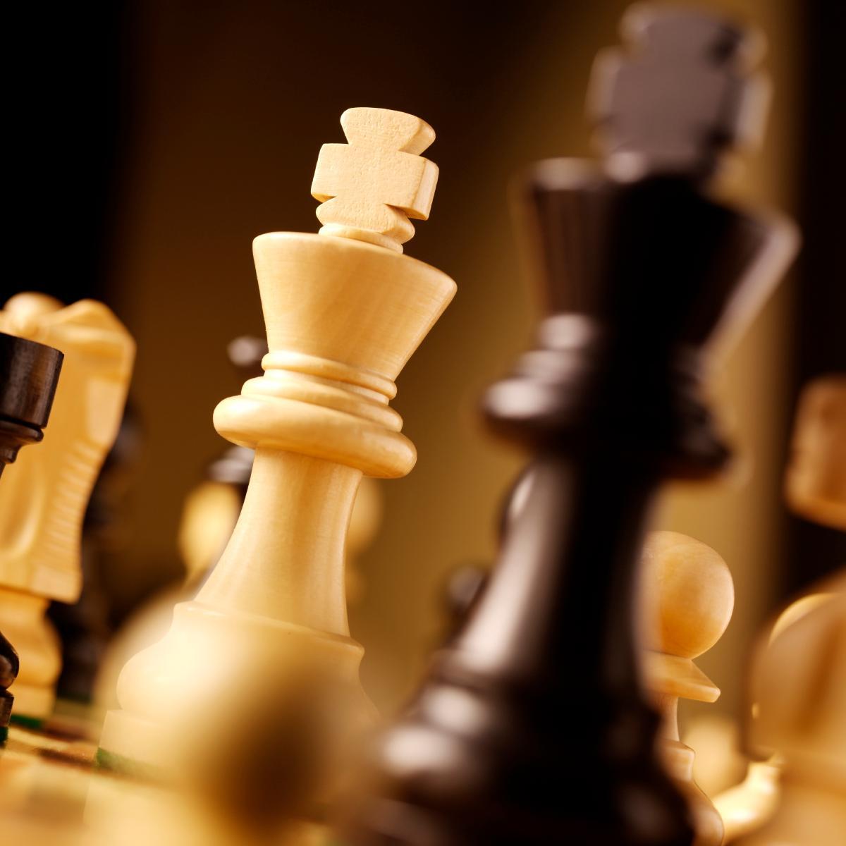 chess_tutor's profile picture. 