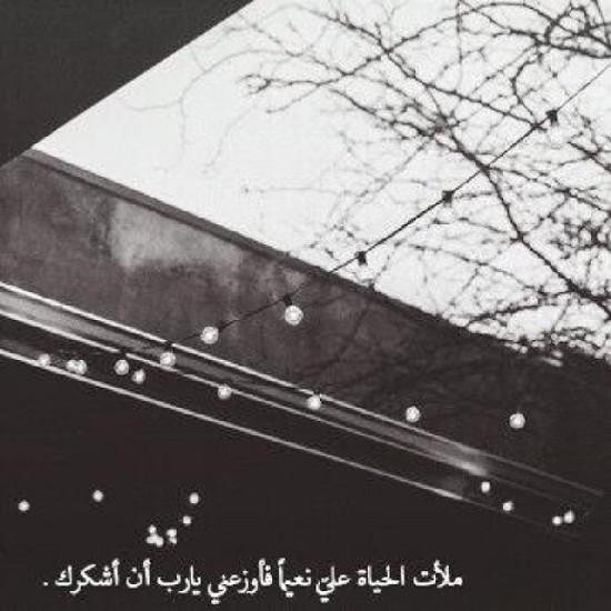رحم الله تلك العيون النائمه للأبد ...
