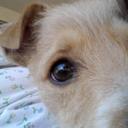 joan neill - @brittsgmom - Twitter