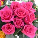 Yemima (@1961yemima19611) Twitter