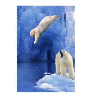 taromercado's profile picture. 