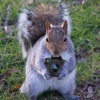 Thanet Photos (@thanetphotos) Twitter profile photo