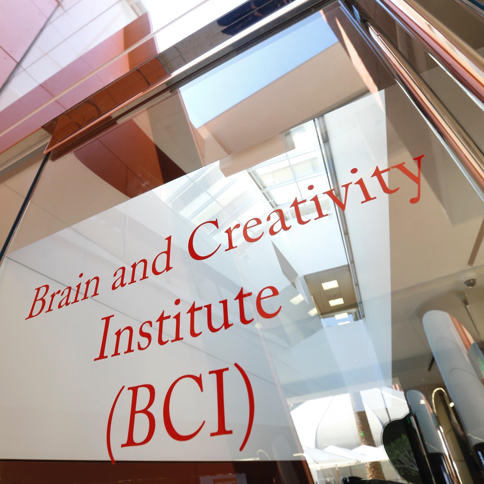 Brain & Creativ Inst