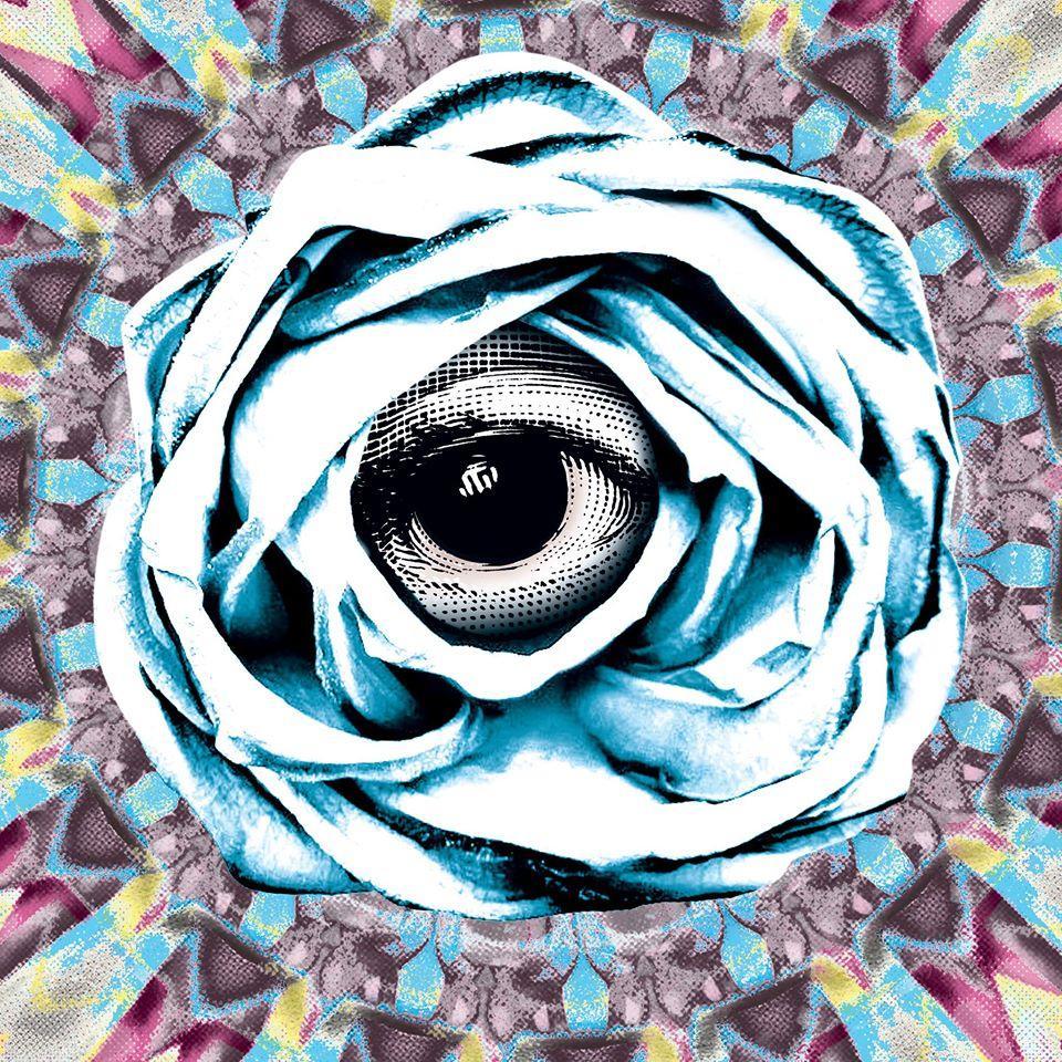 magdalenesband's profile picture. Eclectic quartet from the North. Expect jangle guitars, floating basslines and hectic drums.