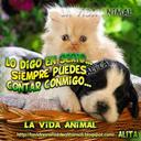 Liliana Aguirre (@0973592) Twitter