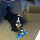 Anna Candido - @AnnaCandido1 - Twitter