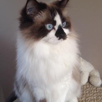 squaredlo's profile picture. 