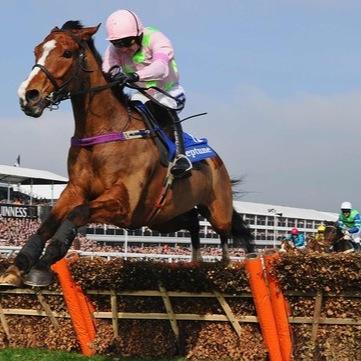 horseracingtip4's profile picture. Two amateur tipsters and horse racing enthusiasts (mainly the latter haha) providing our tips of the day. We're here to bookie bash and we hope you'll join us!!