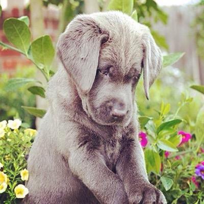 renewhall59's profile picture. what is the best thing that u haze