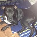 Chris McKim - @camckim - Twitter