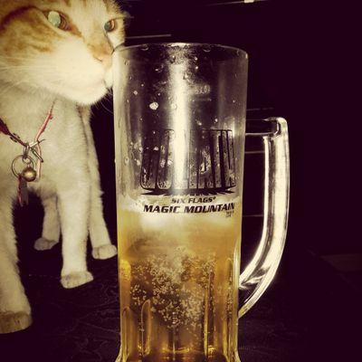 andrew23co's profile picture. Creativo de la industria del Software, Romántico y apasionado de la vida... y adicto a la felicidad.