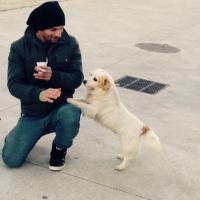 Pk Gaza Mady Jak (@bailandogaza) 's Twitter Profile