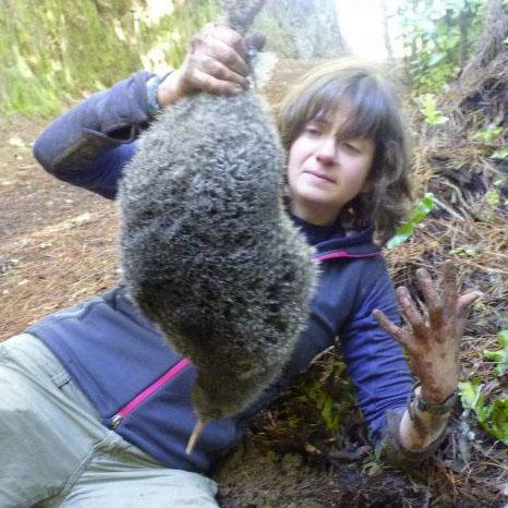 Conservation field scientist and geneticist, outdoors adventurer, and (currently) pine hoverfly preserver. Conservation programme manager @RZSS, but views mine.