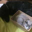 Tina Truman - @TinaTruman9 - Twitter