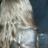 Kieila's profile image