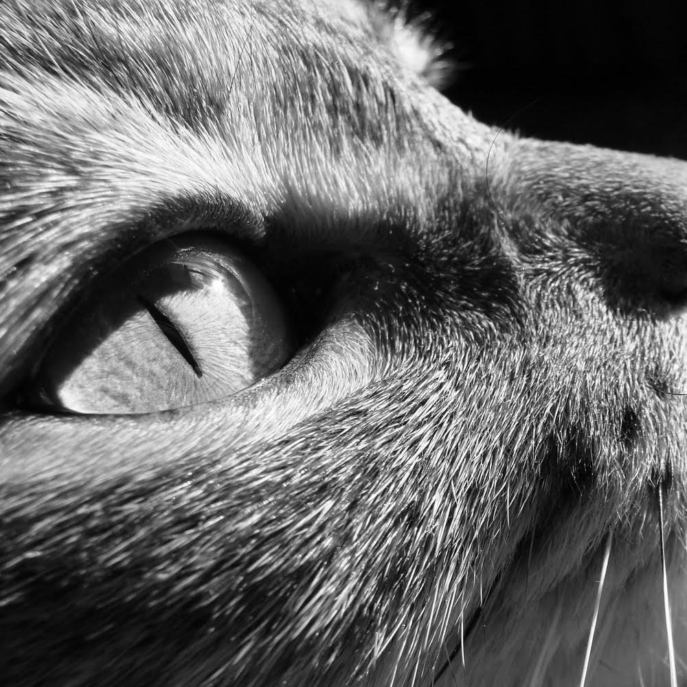 Tutos_Faciles's profile picture. Hacer tutoriales *-*