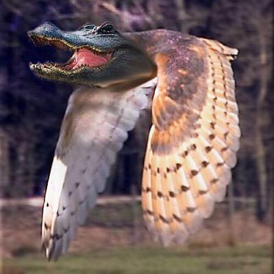 XOlovesATO's profile picture. WE LOVE GATΩRFEST AND WE LOVE OUR NEIGHBORS!!!!!!!!