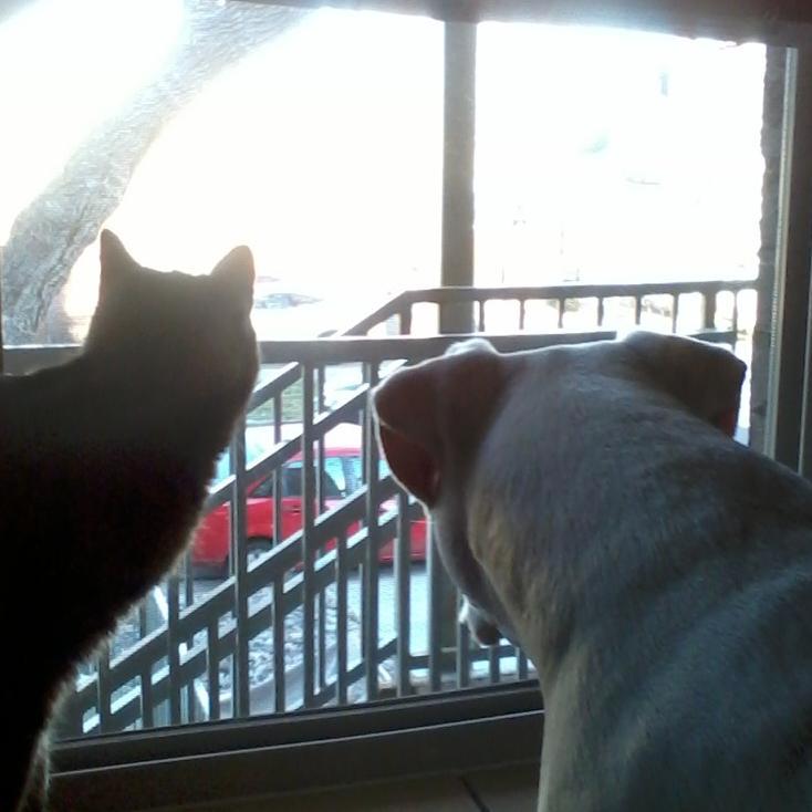 JeffLaGreca's profile picture. slowly migrating to https://t.co/GPgoMDRGfb Writer, Actor, FallerDowner, GetBackUpper, @H2Awesome & @Danyandthetargs. #writingcommunity