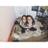cHarrttt's profile image