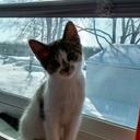 Sara Lacey - @hisbabygirl1118 - Twitter