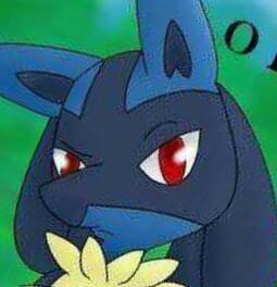 LucarioSecrets's profile picture. ❤A Very Horny Shapeshifting Lucario. Always Up For Some Mating,And Also Breeding.Bisexual. My Lovely Mate @Bluey_Lucario❤