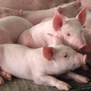 wade vaughn - @wvaughn60 - Twitter