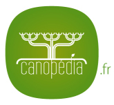 Canopedia's profile picture. Canopédia ou l'inventaire participatif des solutions, conseils et adresses éco-citoyens