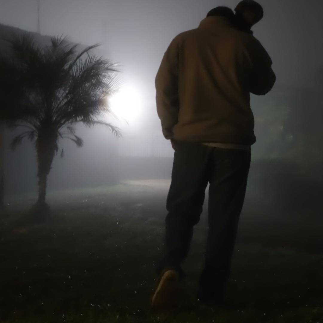 Javier_FJK's profile picture. We could have an adventure. The two of us and a windshield.
Cargador de abastos