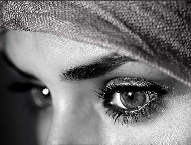 shenovnov's profile picture. 