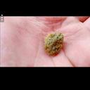 alex chaney - @thealexchaney - Twitter