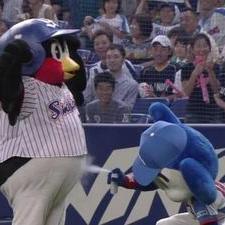夏海