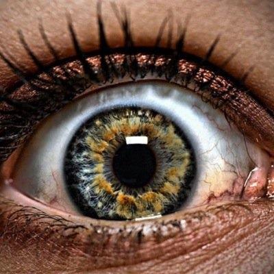 DingoSaidSo's profile picture. Dingo has the time you don't to find the best music you've probably never heard!