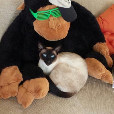 MarikaStein's profile picture. 