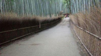社会人。元山口ReaL。