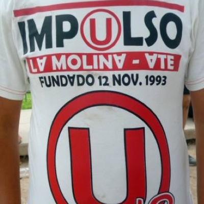IMP(U)LSO Nacio Para Alentar y Defender a La (U) No Para Criar Cafichos y Aflojadores (el Abejorro Nov. 1993)