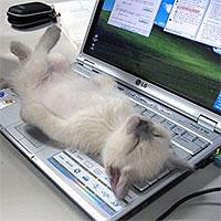 lesh2039's profile picture. 