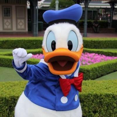 DinsneKtu's profile picture. ディズニー好きな人ふぉろーみー 千葉住み