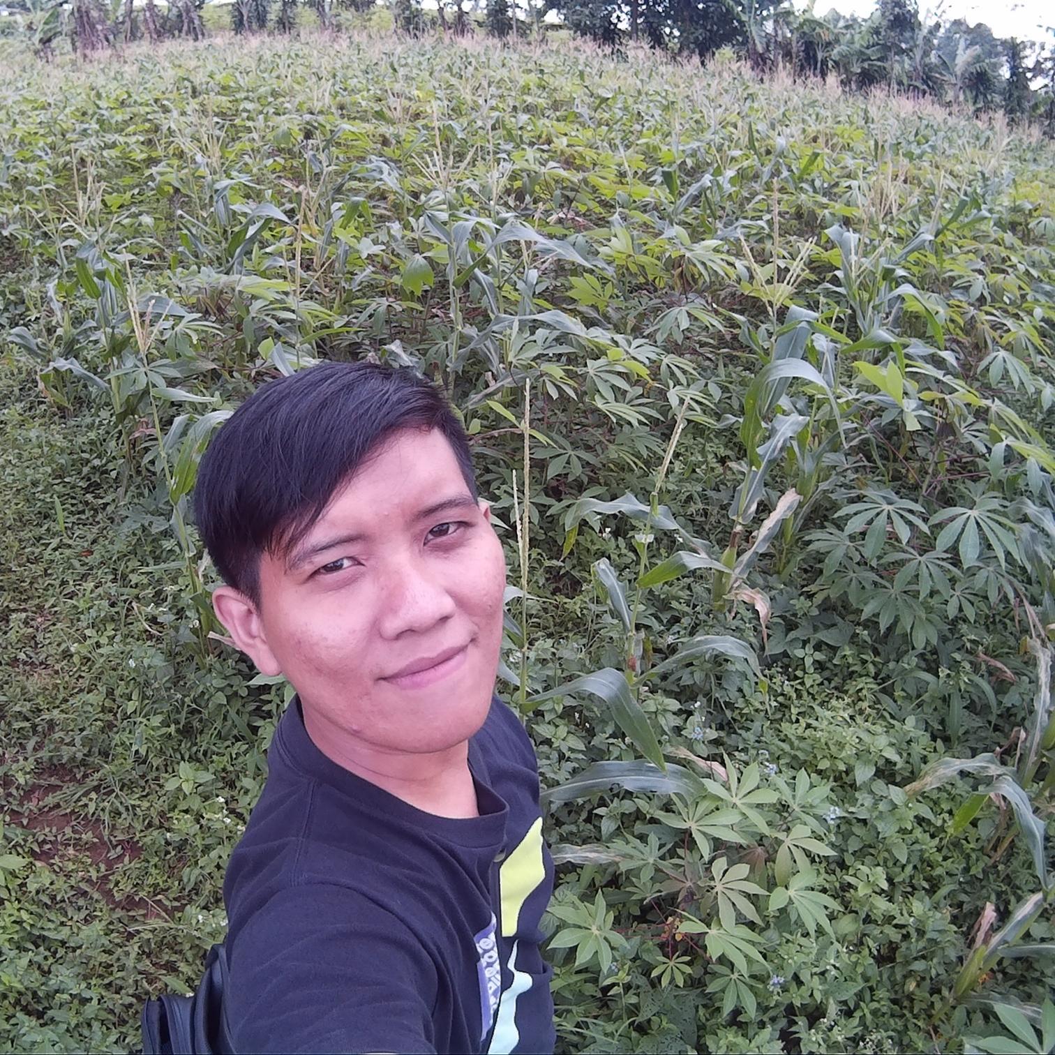 ogutomat's profile picture. 