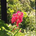 Darrell Haddon - @deehaddon - Twitter