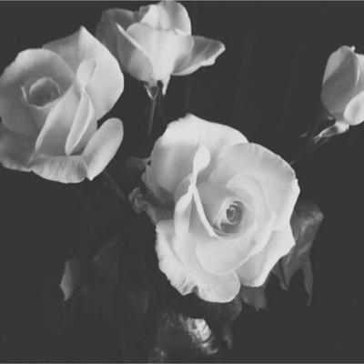 pxrpledaisies's profile picture. i hate everyone. xo