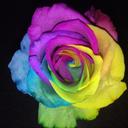 Jo Dickson - @angelj83_locke - Twitter