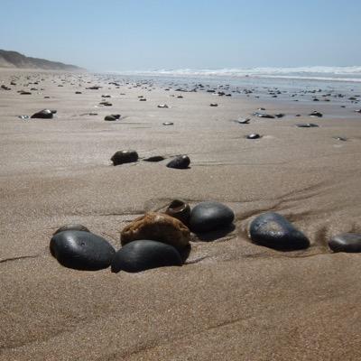 susieaur's profile picture. 