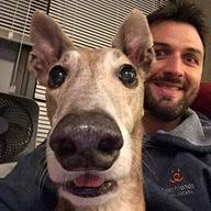 jameswdixon Profile Picture