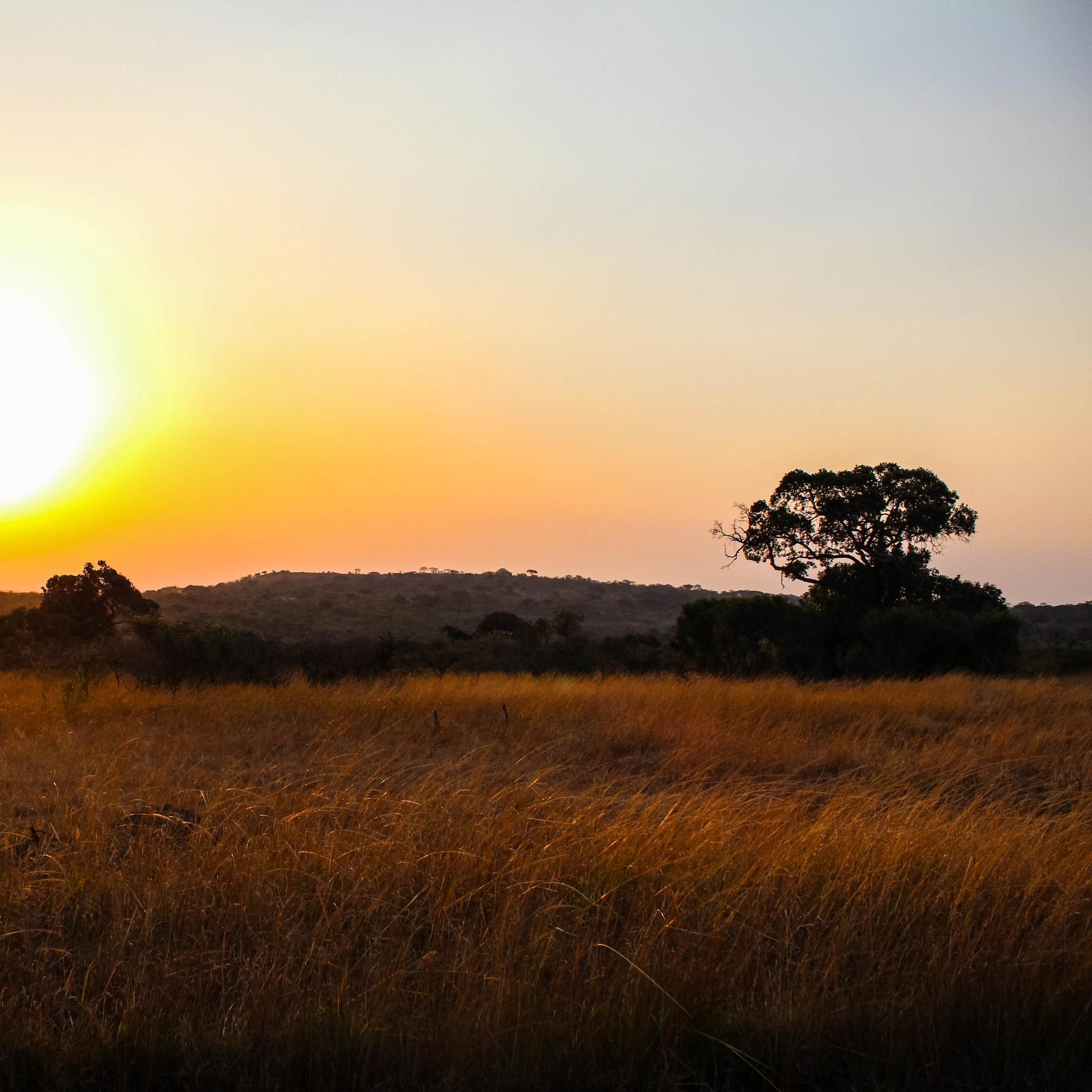 A blog about the Exceptional Zulu Kingdom, KwaZulu-Natal.