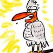 golu78 (@golu78_pl) 's Twitter Profile Photo golu78 (@golu78_pl) 's Twitter Profile Photo