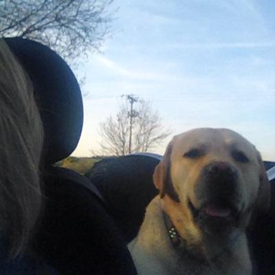 hill_hillda's profile picture. 