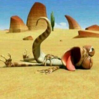 ‏‏‏الخاص للناس المحترمة