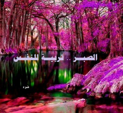 ‏‏‏‏انا طالب جامعي ادرس بجامعة دمشق........الحبيبة